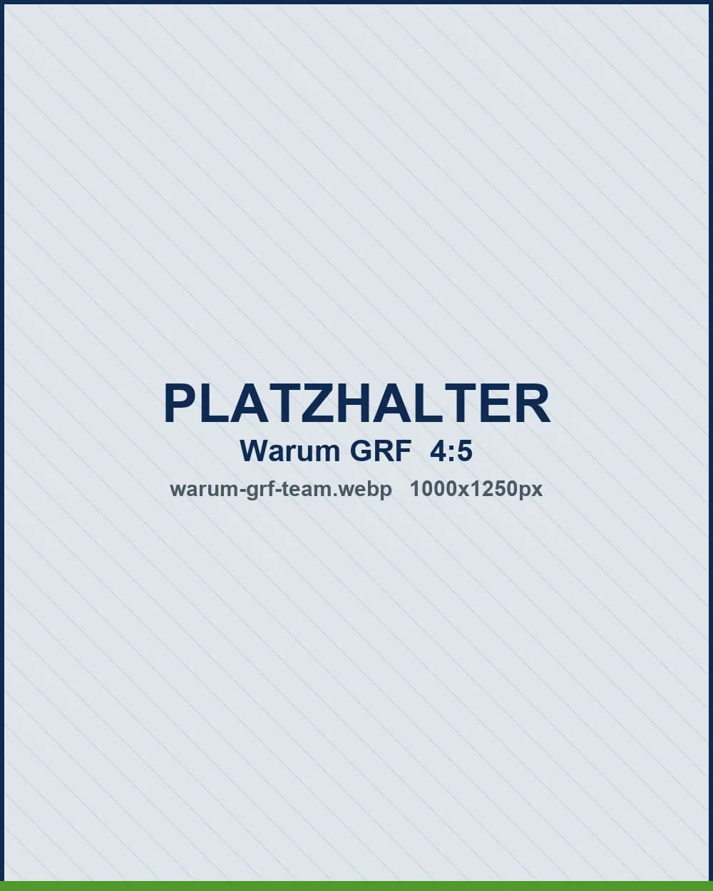Platzhalter für ein Foto vom Team bei der Arbeit